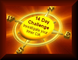Investigate Your Inner CIA inner cia